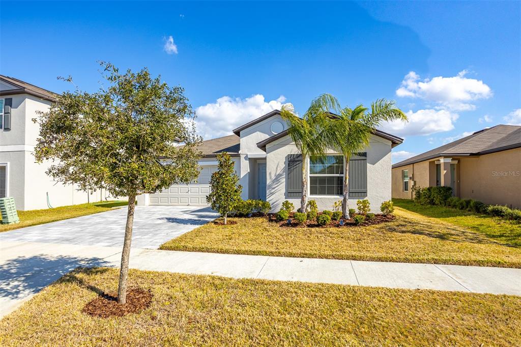 A single-story house with a paved driveway, a two-car garage, and a palm tree — 15415 MILLER CREEK DRIVE, SUN CITY CENTER, FL