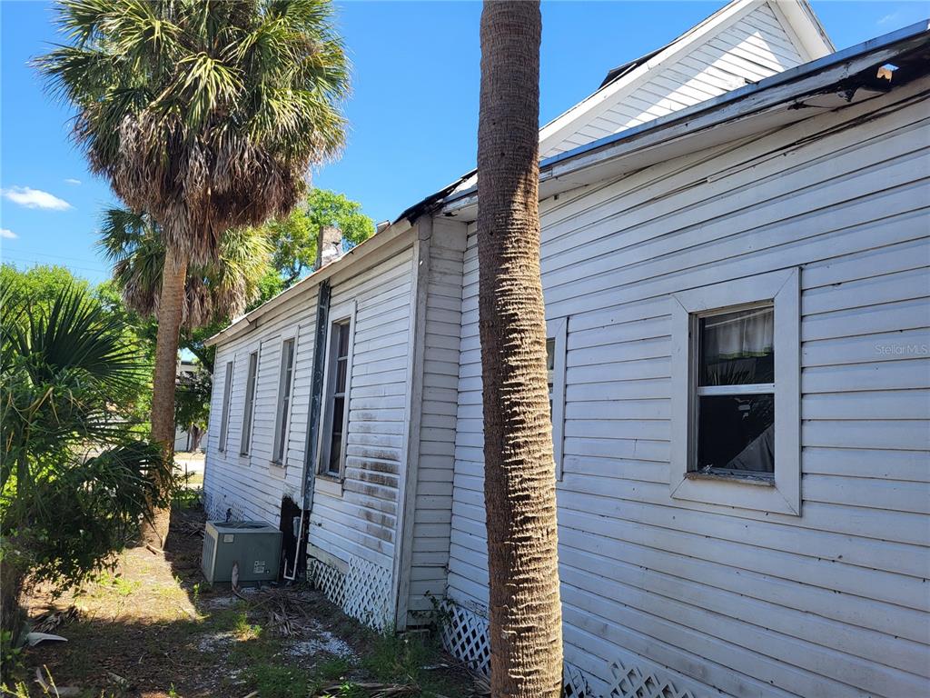 The exterior side of a white wood-sided house features a palm tree and an AC unit — 2902 N ALBANY AVENUE, TAMPA, FL