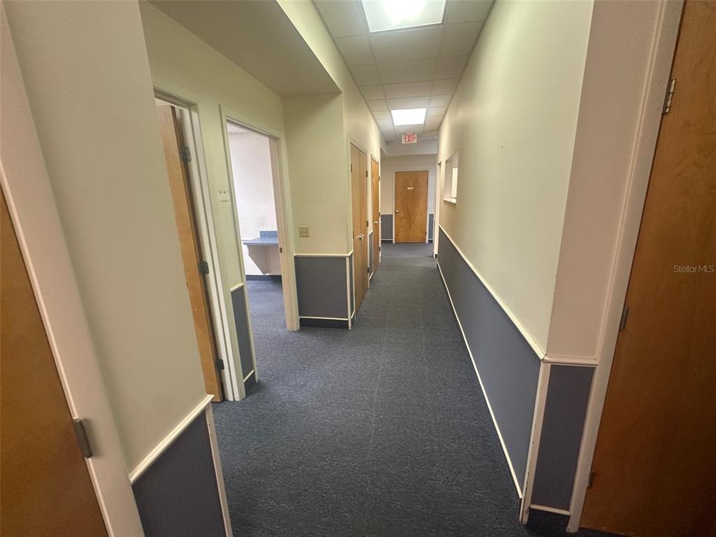 A narrow office hallway features blue carpet, two-toned walls, and several wooden doors — 4611 NW 53RD AVENUE UNIT A, GAINESVILLE, FL