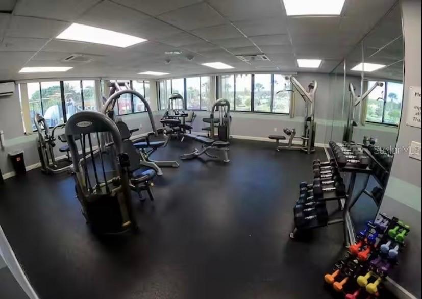 A gym room features various exercise machines, a dumbbell rack, and large windows — 3930 SOUTHPOINTE DRIVE UNIT 205, ORLANDO, FL