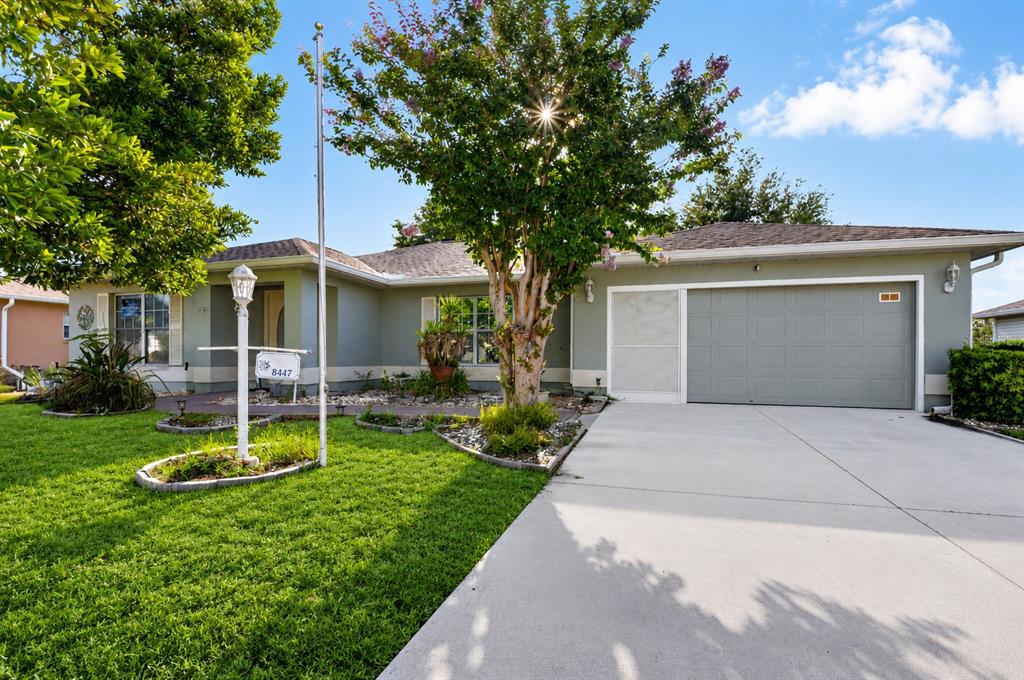 A single-story house with a green exterior, a concrete driveway, and a large front tree — 8447 SW 60TH COURT, OCALA, FL