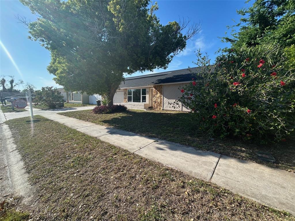 A single-story house with a large tree, a stone facade, and a blooming hibiscus bush — 7403 FOXBLOOM DRIVE, PORT RICHEY, FL