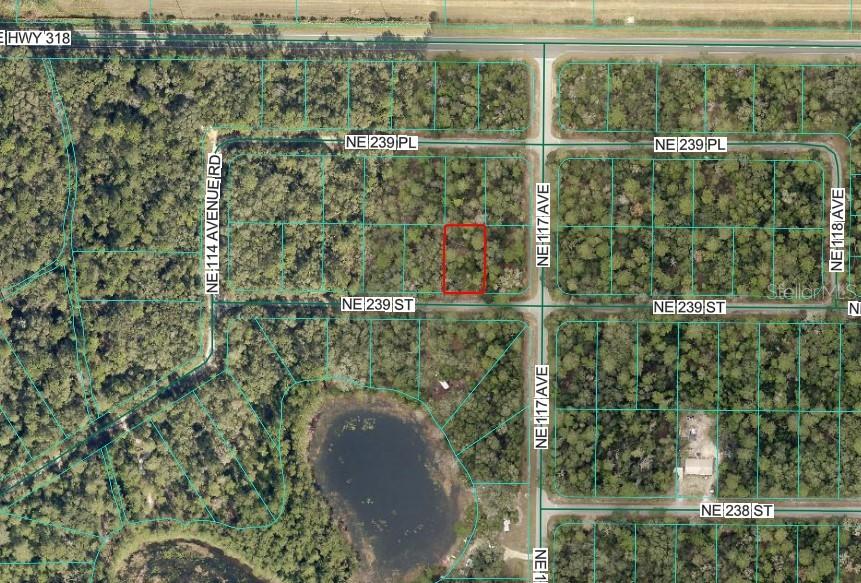 This is an aerial map showing a highlighted vacant lot located at a street intersection — NE 239TH ST, FORT MC COY, FL