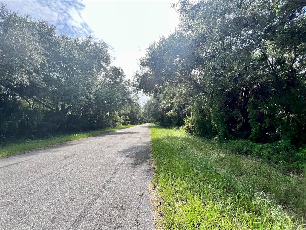 A paved road stretches through a wooded area with dense trees and green vegetation — 19136 RUSKIN AVENUE, PORT CHARLOTTE, FL