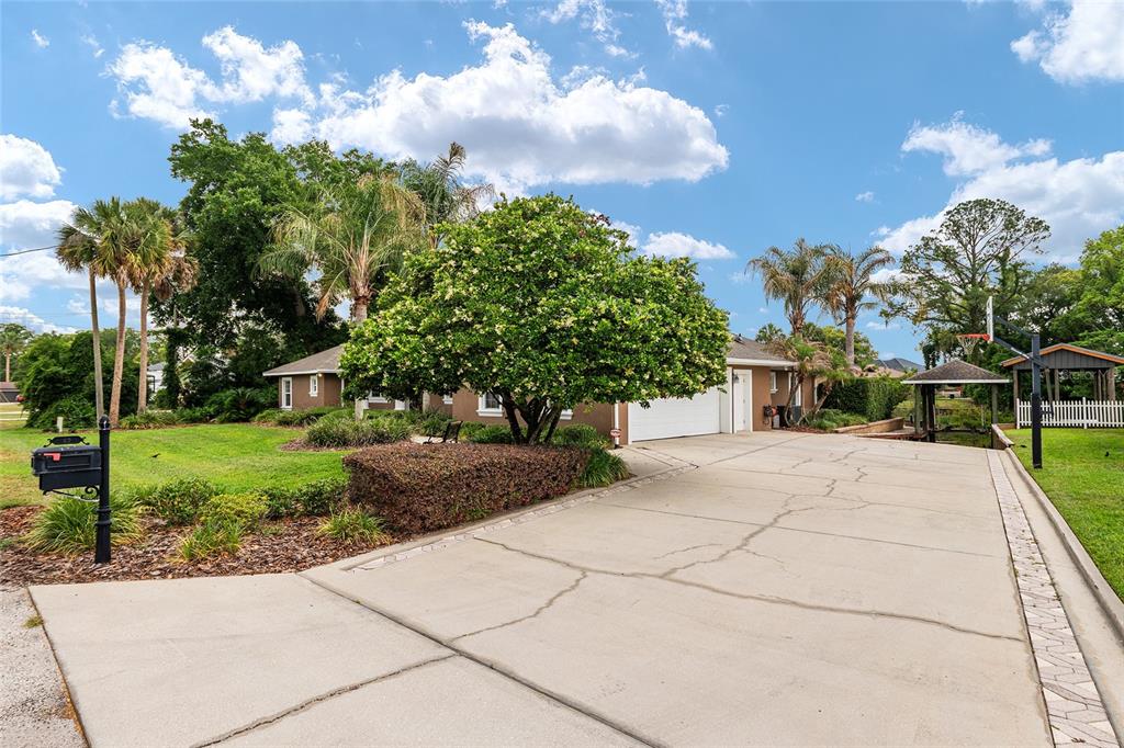 A driveway leads to a single-story house with a large tree and a basketball hoop — 29 SE OCALE WAY, SUMMERFIELD, FL