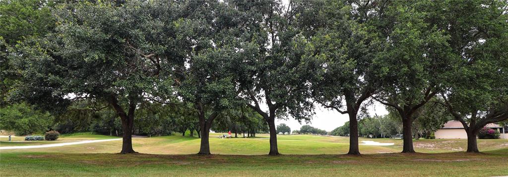 A row of large oak trees overlooks a golf course with a sand bunker — 21300 ROYAL ST GEORGES LANE, LEESBURG, FL