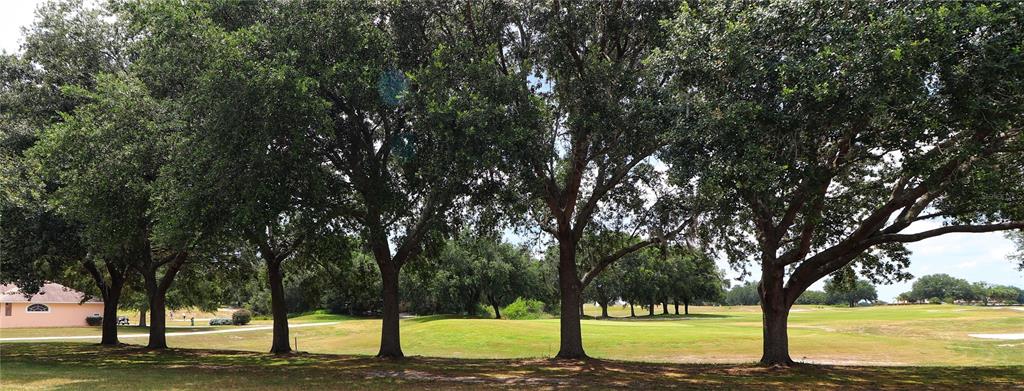 A row of large oak trees stands in front of a grassy golf course — 21300 ROYAL ST GEORGES LANE, LEESBURG, FL