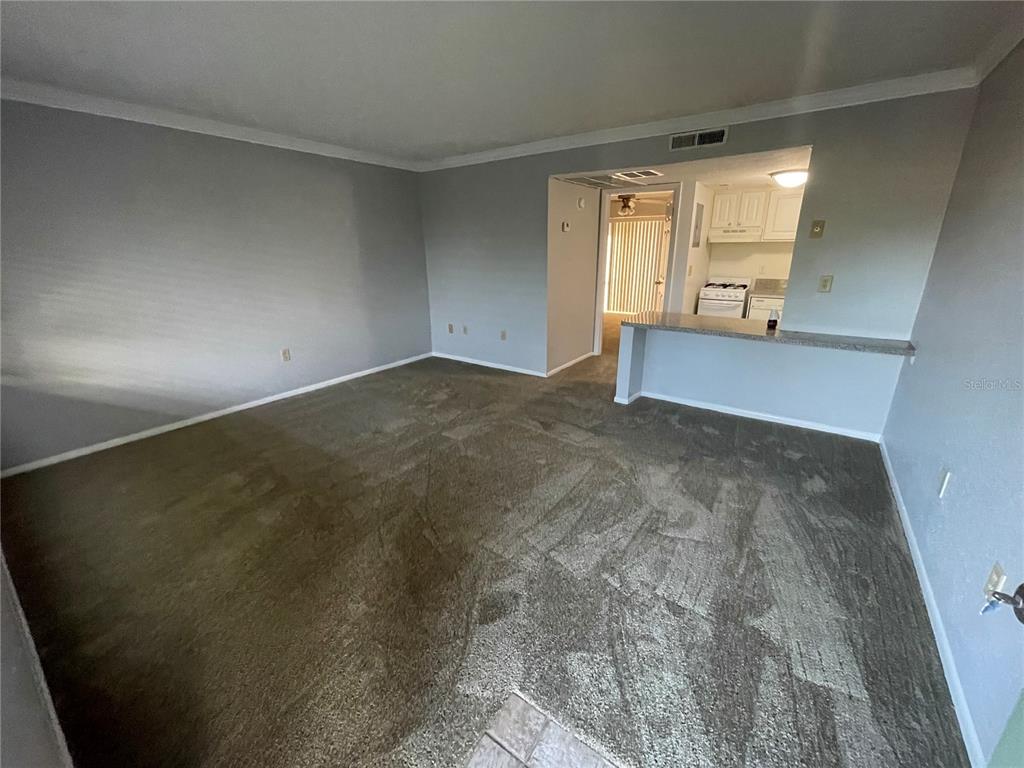 A carpeted living room features gray walls and an open pass-through to the kitchen — 122 WATER FRONT WAY UNIT 340, ALTAMONTE SPRINGS, FL