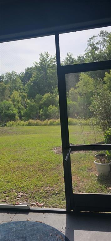 A view of a grassy backyard and trees seen through a screened-in porch door — 32926 KALOKO ROAD, WESLEY CHAPEL, FL