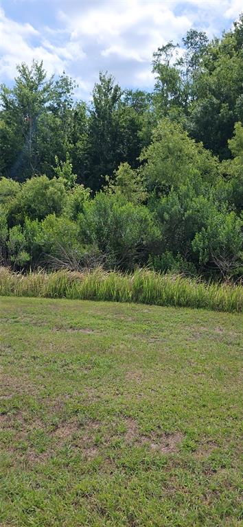 A grassy lawn leads to a dense line of trees and shrubs under a cloudy sky — 32926 KALOKO ROAD, WESLEY CHAPEL, FL