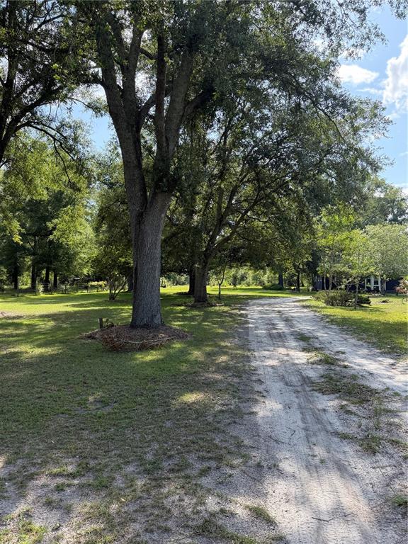 5649 209TH ROAD, LIVE OAK, FL — photo 3 of 30
