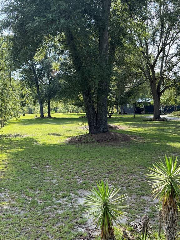5649 209TH ROAD, LIVE OAK, FL — photo 4 of 30