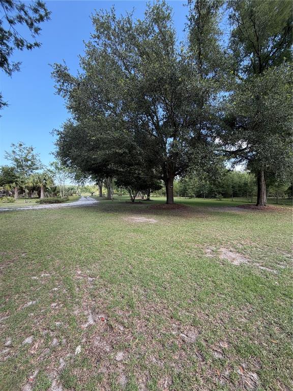 5649 209TH ROAD, LIVE OAK, FL — photo 5 of 30