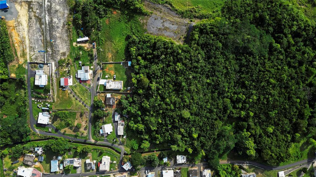An aerial view shows a residential neighborhood bordering a large, dense forest area — Calle Brillante ARSENALES BAJOS, ISABELA, PR