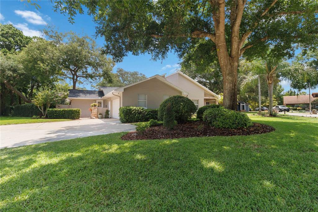 A single-story house with light siding and a large tree in the front yard — 176 TIM TAM COURT, LAKE MARY, FL