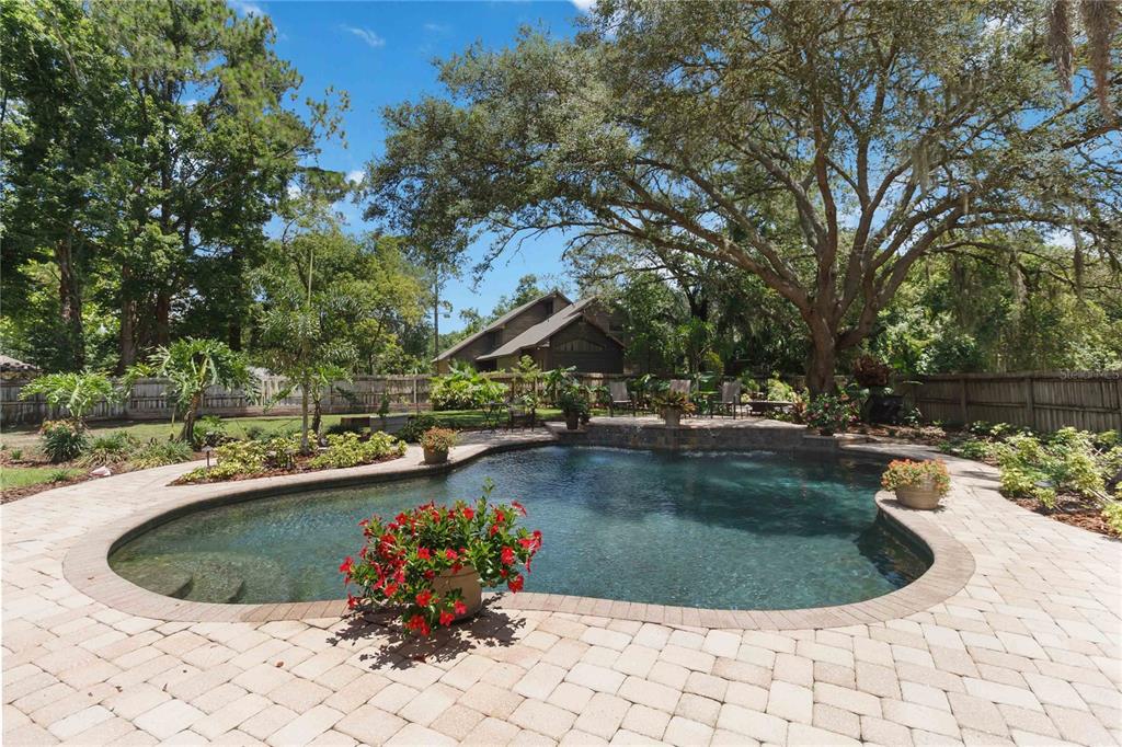 A backyard features a curved swimming pool surrounded by a paver patio and mature trees — 176 TIM TAM COURT, LAKE MARY, FL