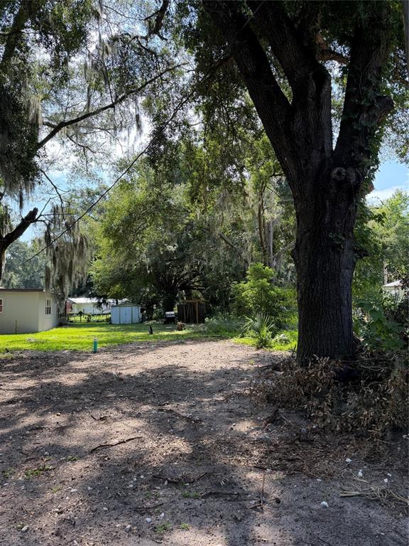 A large tree stands in the foreground of a sandy, partially cleared residential lot — CR 491W, LAKE PANASOFFKEE, FL