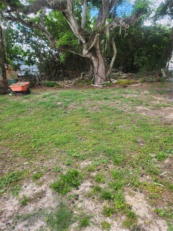 A large tree stands in a grassy backyard with a wheelbarrow near a fence — 2429 LAKEVIEW STREET, LAKELAND, FL