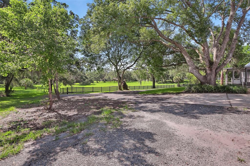 A gravel driveway leads toward a fenced green pasture shaded by large oak trees — 900 E KICKLIGHTER ( 15+/- ACRES) ROAD, LAKE HELEN, FL