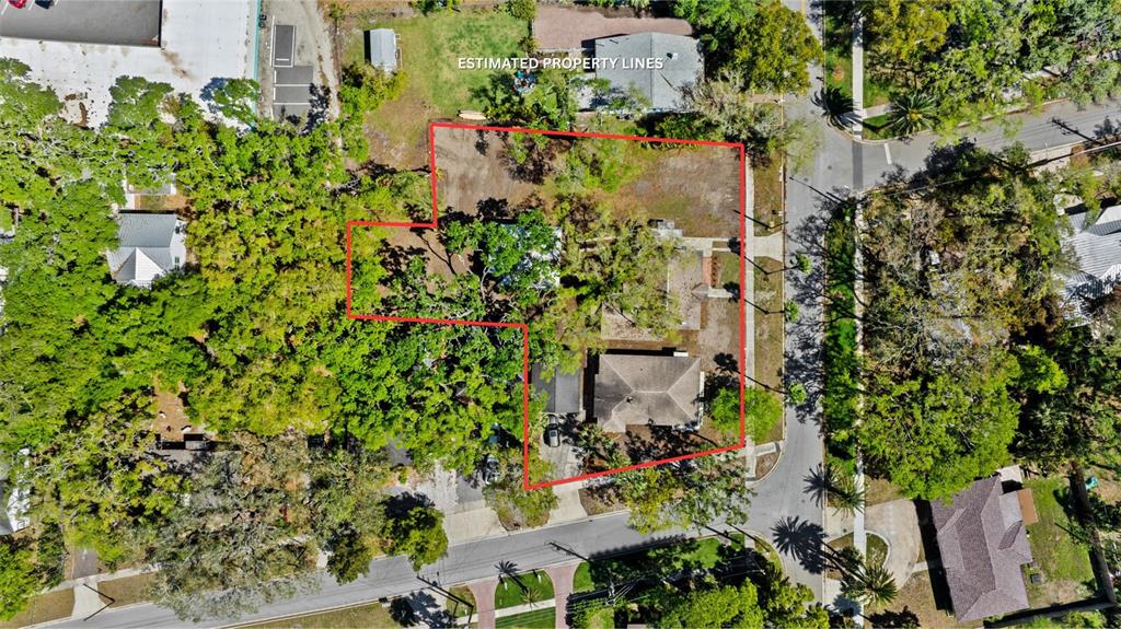 A large, sandy backyard features mature oak trees casting long shadows over the open space — 308 PRESIDENT STREET, DUNEDIN, FL