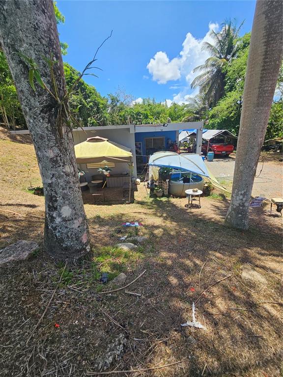 A bathroom features a tropical-themed shower curtain, a white toilet, and a metal storage rack — calle 1 CALLE 1 UNIT A 10, TRUJILLO ALTO, PR