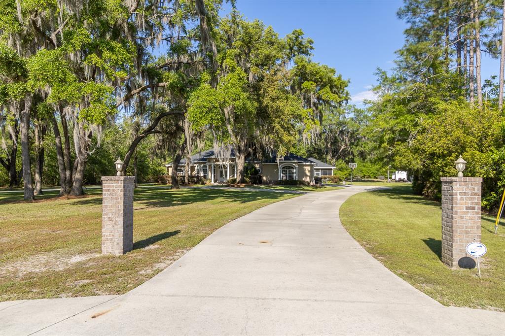 A concrete driveway leads to a house framed by large trees with hanging moss — 163 NW AMBER COURT, LAKE CITY, FL