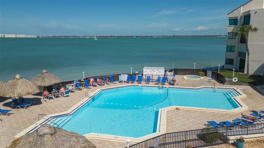 An outdoor swimming pool with lounge chairs and tiki umbrellas overlooks a large bay — 5510 PUERTA DEL SOL BOULEVARD S UNIT 232, ST PETERSBURG, FL