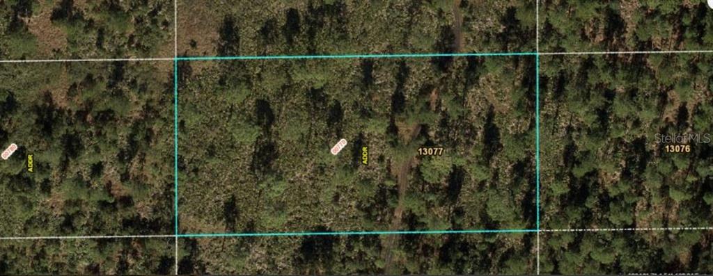 This is an aerial map view of a rectangular, wooded plot of land — DILL ROAD, ORLANDO, FL