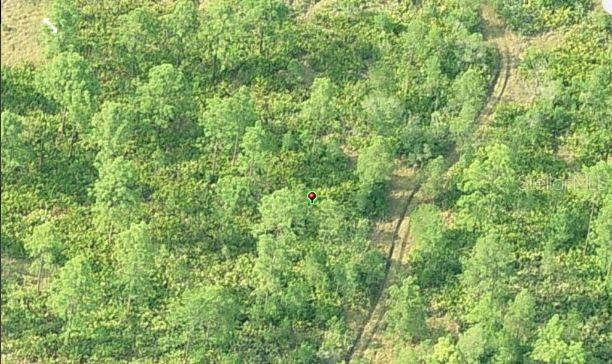 An aerial view shows a wooded lot with a dirt path and a location pin — DILL ROAD, ORLANDO, FL