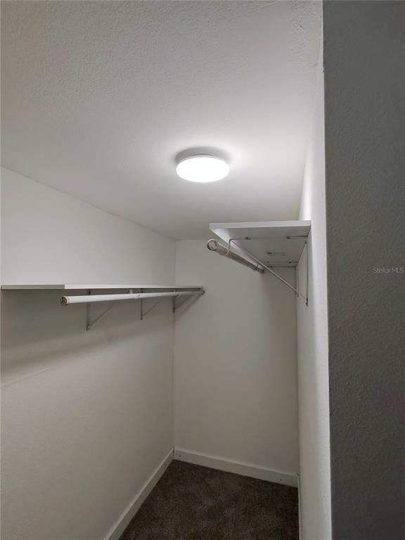 A walk-in closet features white walls, gray carpeting, and two levels of shelving with rods — 411 W 7TH STREET, LAKELAND, FL