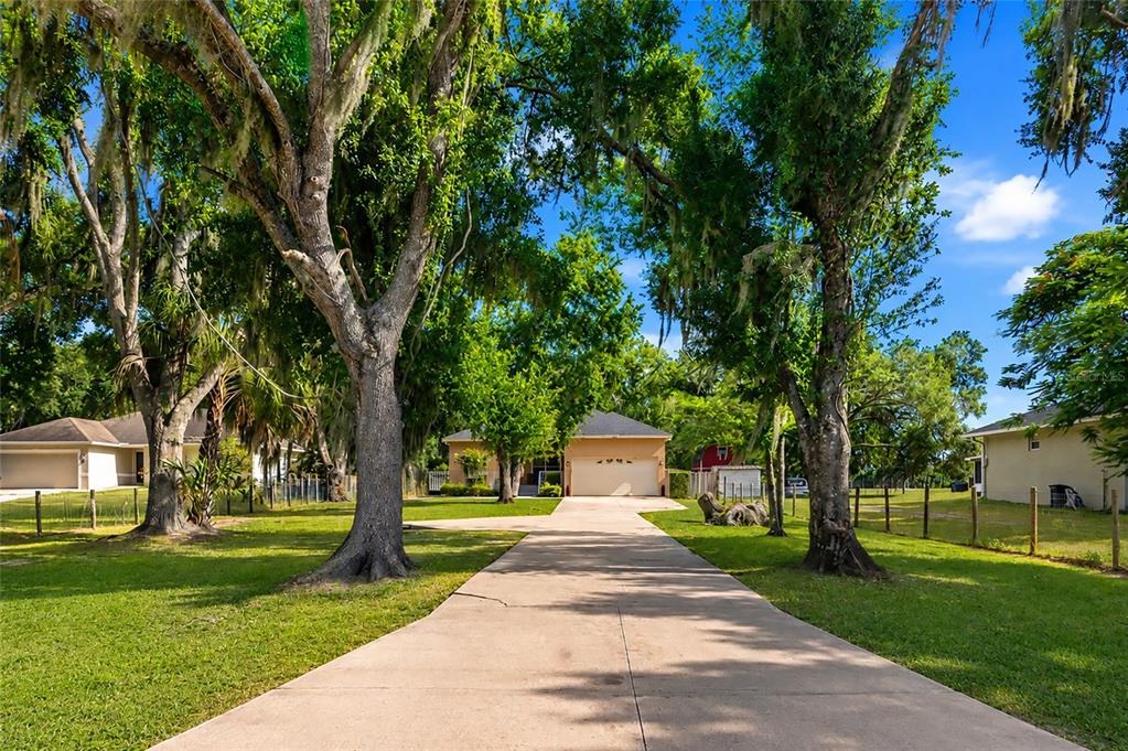 A concrete driveway leads to a single-story house framed by large, moss-covered oak trees — 11851 69TH STREET E, PARRISH, FL