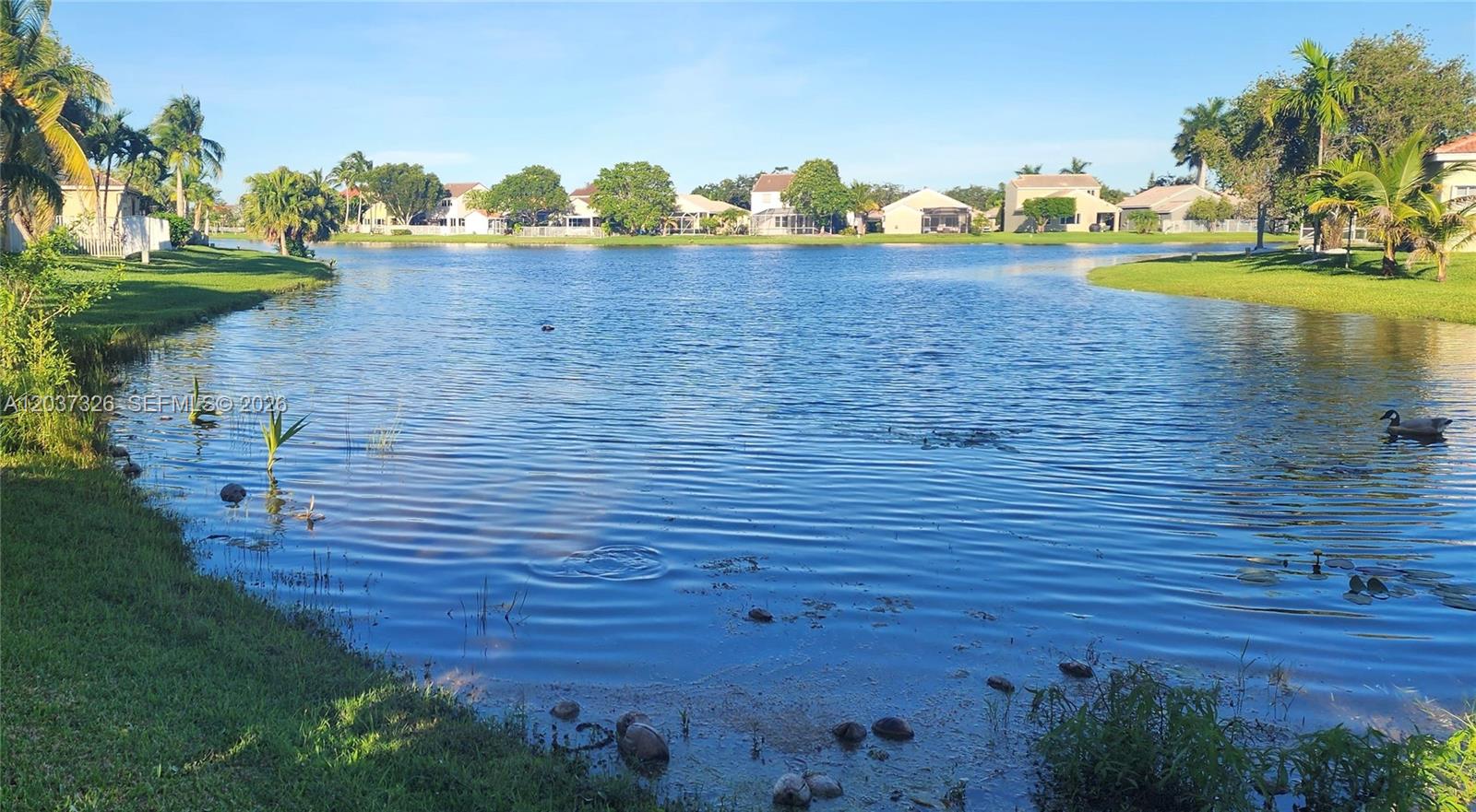 649 Willow Bend Rd, Weston FL 33327