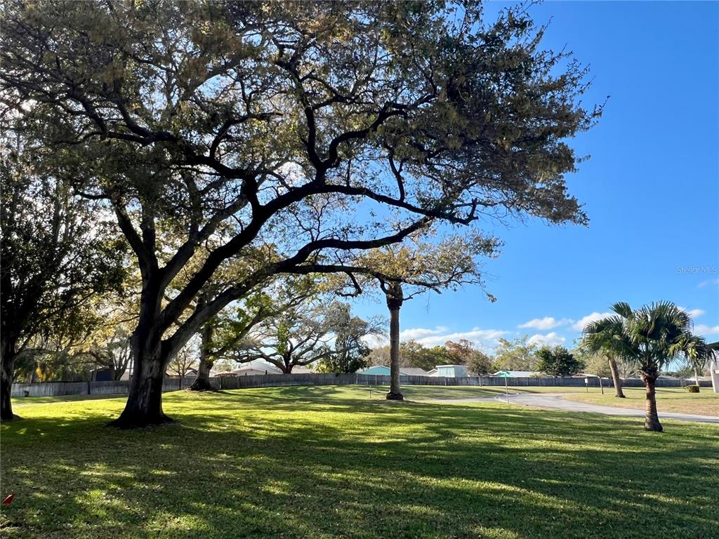 1185 MISSION CIRCLE, CLEARWATER, FL — photo 3 of 30