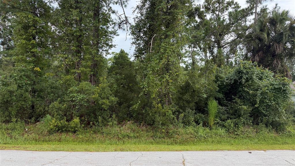 A dense, wooded vacant lot sits behind a cracked asphalt road — 25 KAYWOOD PLACE, PALM COAST, FL