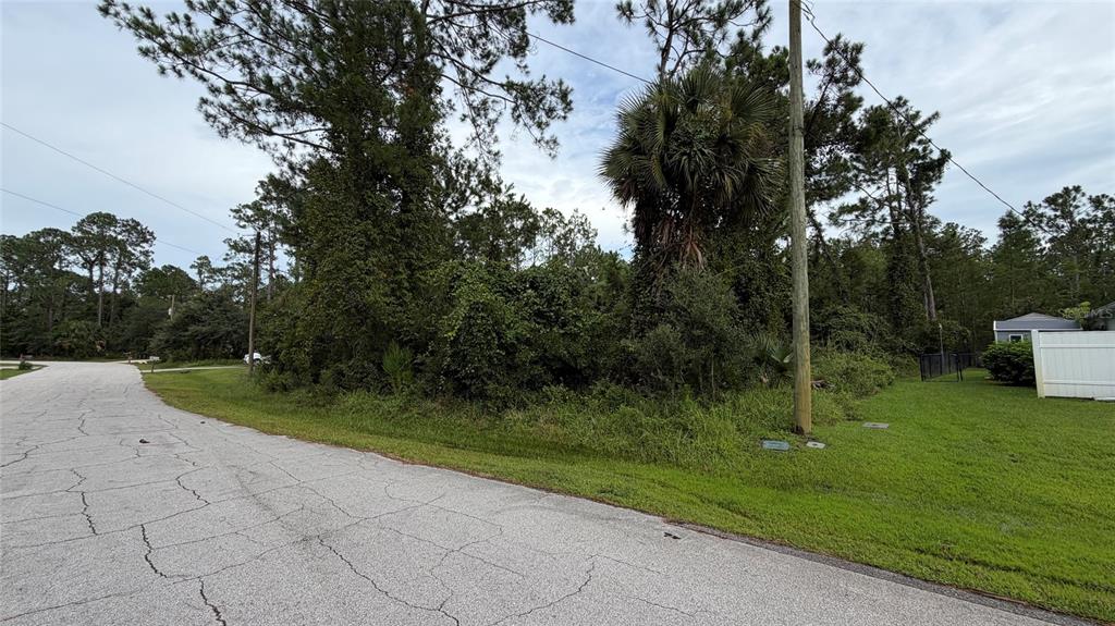 A view of a vacant, wooded residential lot from a paved street — 25 KAYWOOD PLACE, PALM COAST, FL