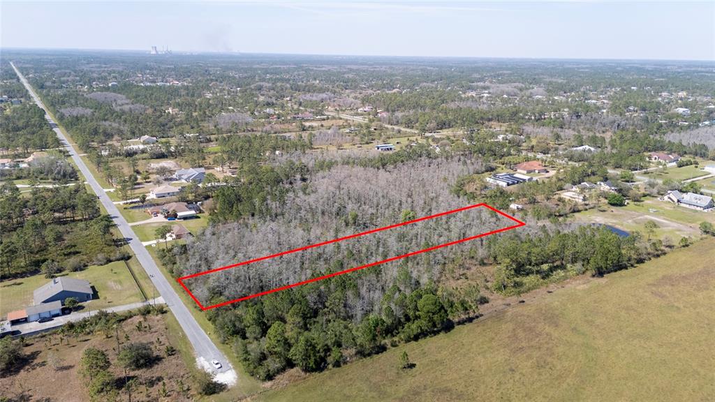 An aerial view shows a rectangular wooded lot outlined in red next to a road — SABAL STREET, ORLANDO, FL