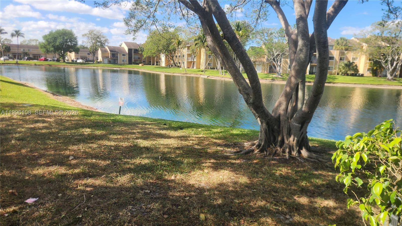 A view of a lake surrounded by apartment buildings and trees on a sunny day — 210 E Palm Cir E, Pembroke Pines FL 33025, PEMBROKE PINES, FL