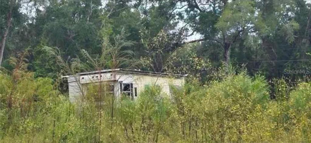 A dilapidated, light-colored mobile home sits overgrown with tall weeds and surrounded by dense trees — 14481 NE 190TH PLACE, FORT MC COY, FL