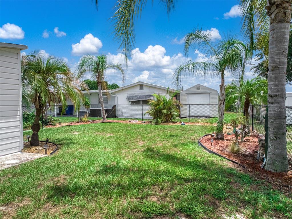 A grassy backyard features palm trees, landscaping, a chain-link fence, and a detached storage shed — 3519 MAINE AVENUE, SEBRING, FL