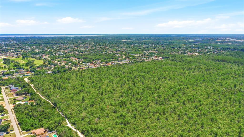 An aerial view shows a rectangular plot of land outlined in white amidst wooded terrain — MCBRIDE AVENUE, DELTONA, FL