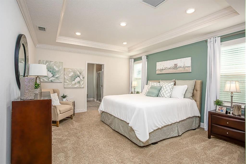 A bedroom features a tray ceiling, a green accent wall, and a king-sized bed — 17219 NW 173RD DRIVE, ALACHUA, FL