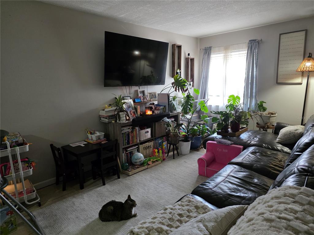 A living room features a large television, a leather sectional, and several potted plants — 4823 W MCELROY AVENUE UNIT D211, TAMPA, FL