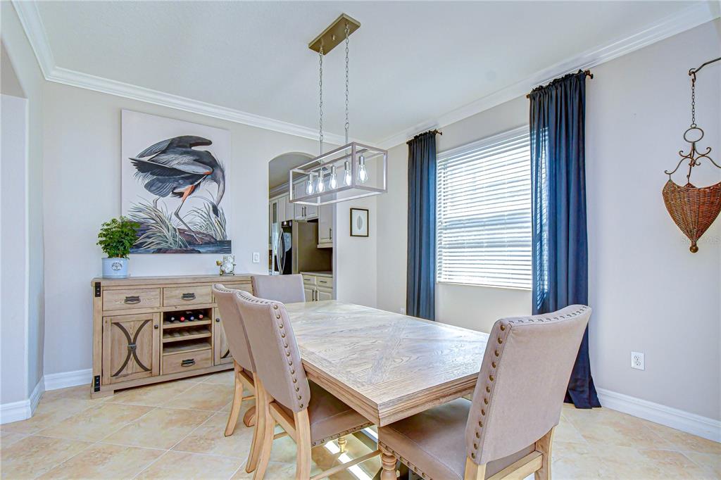 A dining room features a wooden table, upholstered chairs, a sideboard, and a rectangular chandelier — 19914 BLUFF OAK BOULEVARD, TAMPA, FL