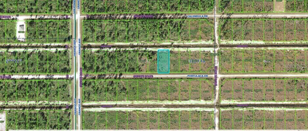 This is an aerial map showing a highlighted rectangular plot of land in a wooded area — 710 PORTULACA DRIVE, INDIAN LAKE ESTATES, FL