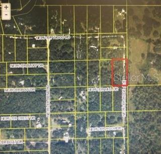 An aerial map shows a highlighted rectangular land parcel surrounded by wooded lots and roads — NE RIVER RIDGE AVENUE, ARCADIA, FL
