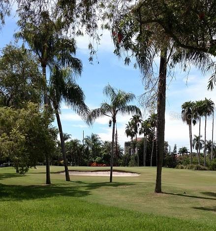 A view of a golf course green with a sand bunker and several palm trees — 6322 PALMA DEL MAR BOULEVARD S UNIT 305, ST PETERSBURG, FL