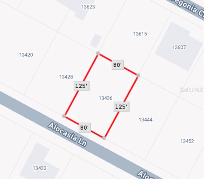 This is a map showing the rectangular property boundaries and dimensions of a residential lot — 13436 ALOCASIA LANE, PORT CHARLOTTE, FL