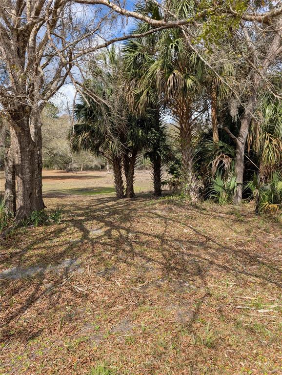 LORIE STREET, INGLIS, FL — photo 2 of 3