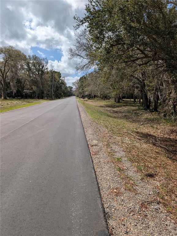 LORIE STREET, INGLIS, FL — photo 3 of 3