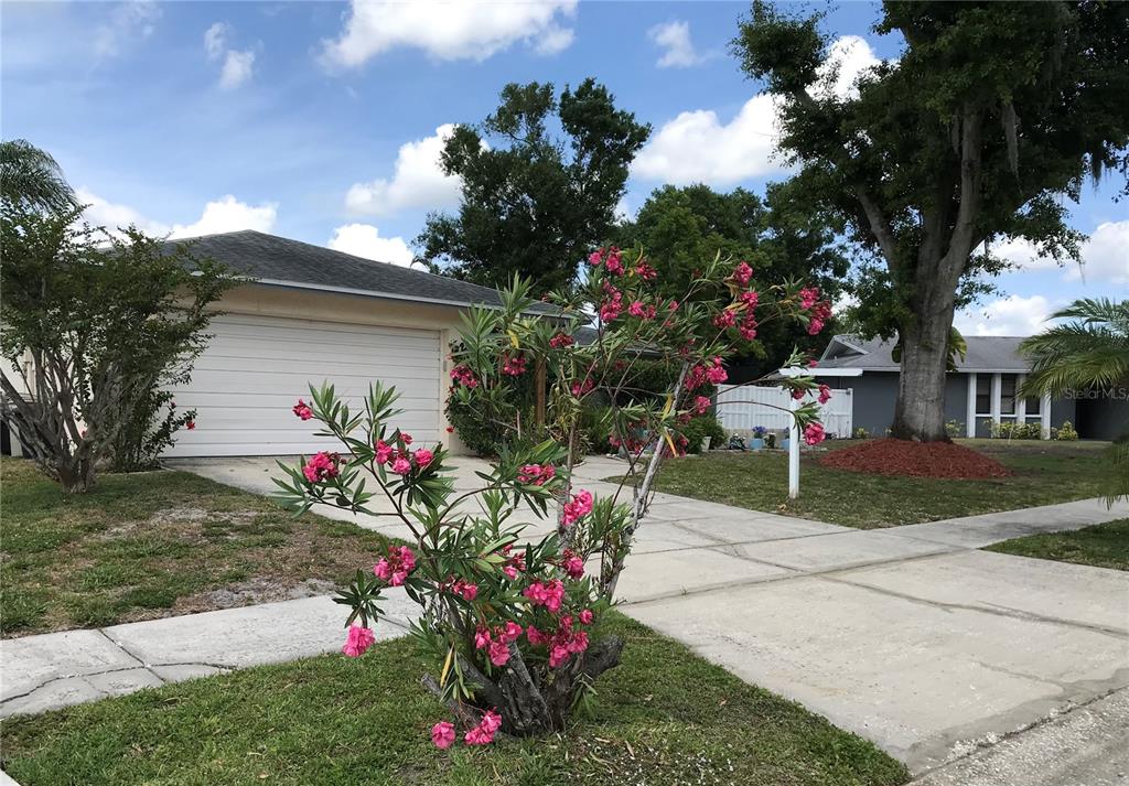 A single-story house with a white garage door and a blooming oleander bush in front — 5205 RIPPLE CREEK DRIVE, TAMPA, FL